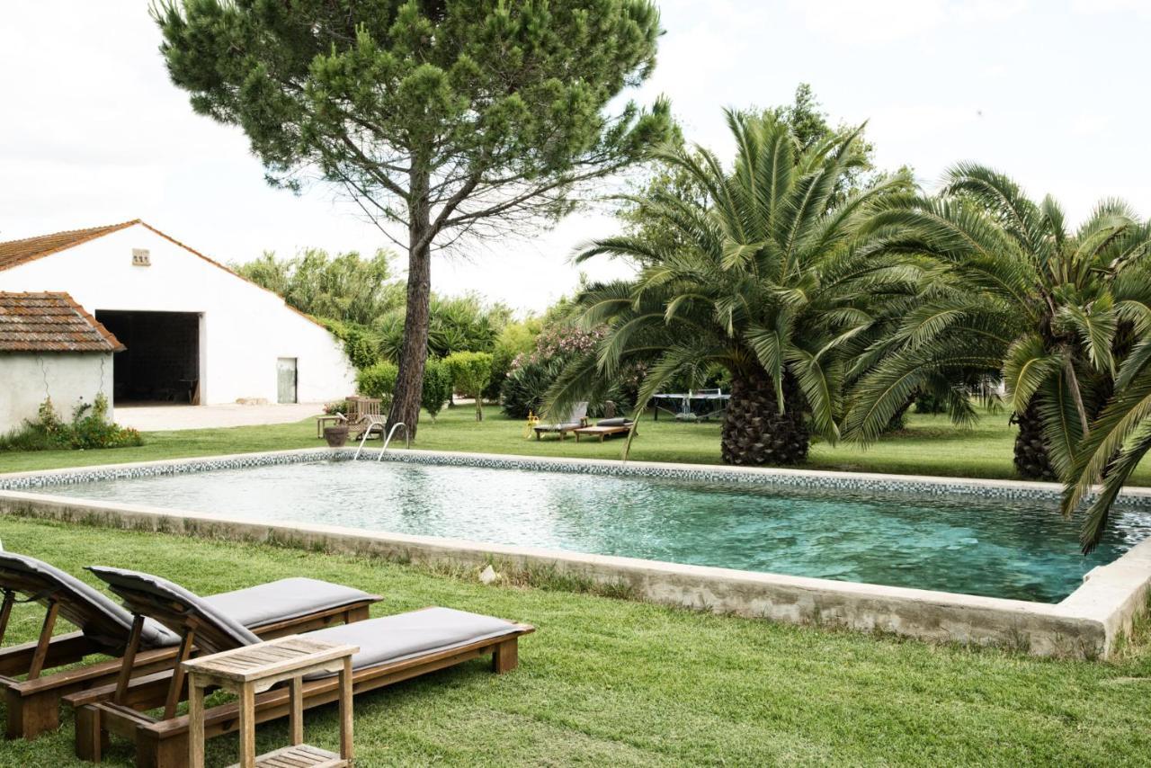 Mas De Bouvet En Camargue Bed and Breakfast Albaron Eksteriør billede
