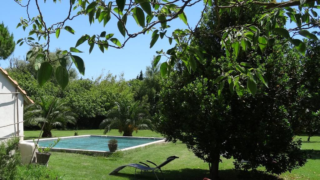 Mas De Bouvet En Camargue Bed and Breakfast Albaron Eksteriør billede