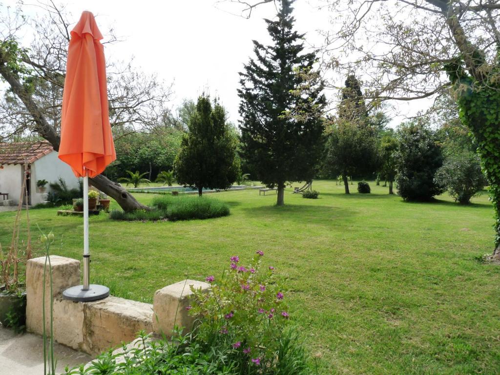 Mas De Bouvet En Camargue Bed and Breakfast Albaron Eksteriør billede