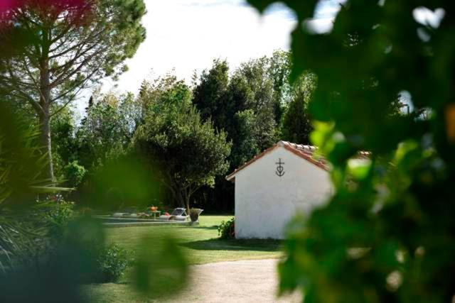 Mas De Bouvet En Camargue Bed and Breakfast Albaron Eksteriør billede