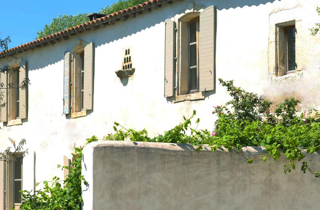 Mas De Bouvet En Camargue Bed and Breakfast Albaron Eksteriør billede